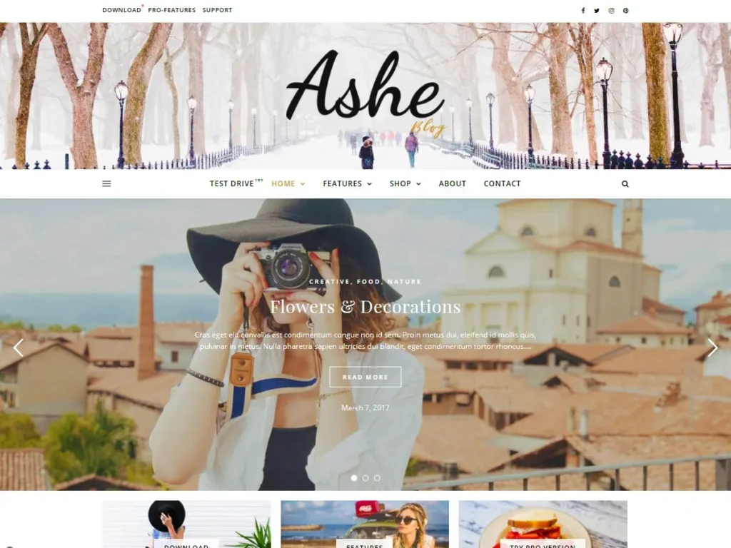 Ashe WordPress theme preview by wemtc