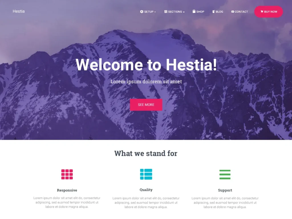 Hastia WordPress theme preview by wemtc