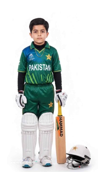 Standing Strong in the Spotlight gemini cricket batsmen prompt